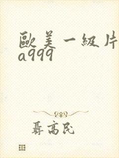 欧美一级片内射a999