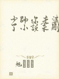 少帅你老婆又跑了小说未删版完整