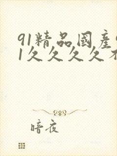 91精品国产91久久久久不卡