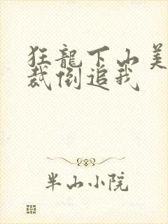 狂龙下山美女总裁倒追我