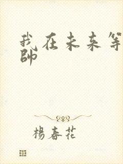 我在未来等你王帅