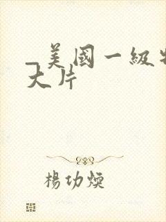 _美国一级特黄大片