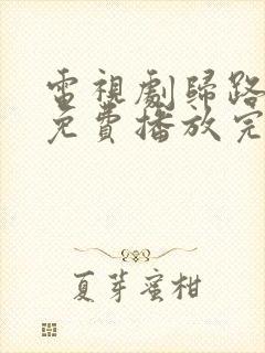 电视剧归路全集免费播放完整版高清