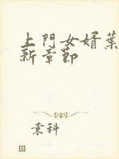 上门女婿叶辰更新章节封面