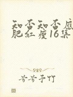 知否知否应是绿肥红瘦16集