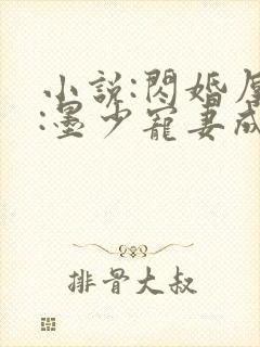 小说:闪婚厚爱:墨少宠妻成瘾