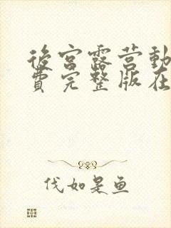 后宫露营动漫免费完整版在线观看