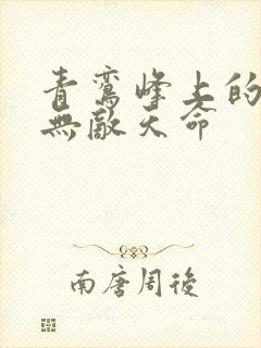 青鸾峰上的小说无敌天命