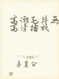 高潮毛片无遮挡高清播放