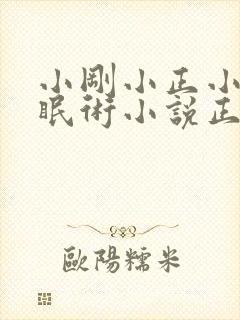 小刚小正小柔催眠术小说正版阅读