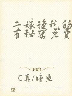 二嫁后我的夫君有秘密免费阅读封面