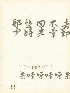 那些回不去的年少时光章节