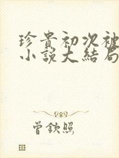 珍贵初次被夺走小说大结局封面