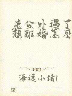 老公外遇了我不想离婚怎么办