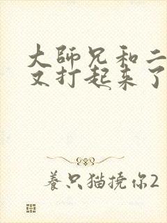 大师兄和二师兄又打起来了小说