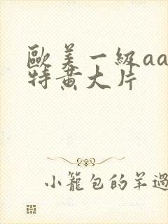 欧美一级aa一特黄大片