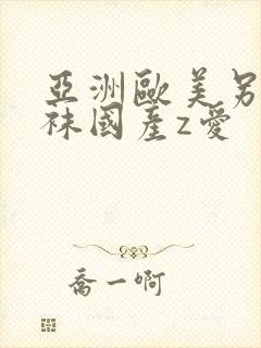 亚洲欧美另类丝袜国产z爱封面