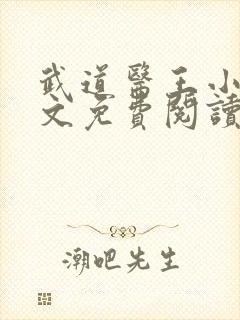 武道医王小说全文免费阅读