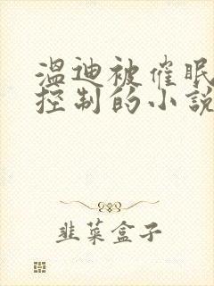 温迪被催眠洗脑控制的小说封面