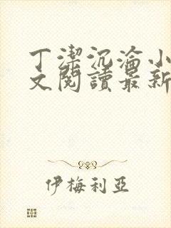 丁洁沉沦小说全文阅读最新章节更新封面