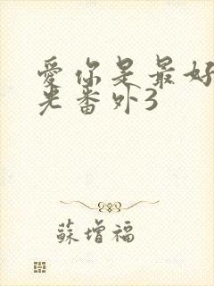 爱你是最好的时光番外3封面