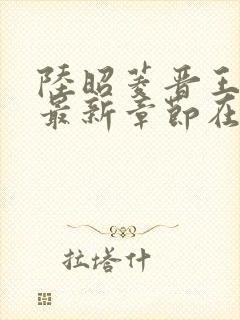 陆昭菱晋王小说最新章节在线阅读