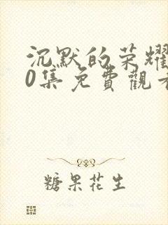 沉默的荣耀第10集免费观看