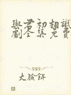 与君初相识电视剧全集免费