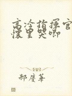 高冷指挥官在我怀里哭唧封面