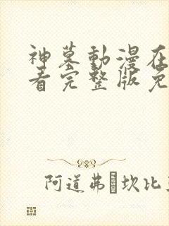 神墓动漫在线观看完整版免费观看