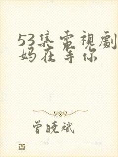 53集电视剧妈妈在等你封面
