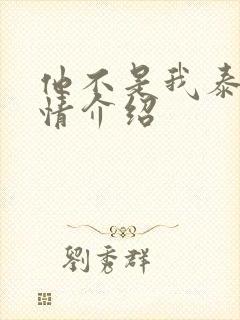 他不是我泰剧剧情介绍封面