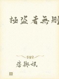 极盗者无删减封面