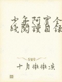 少年阿宾全文在线阅读目录阅读