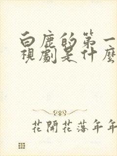 白鹿的第一部电视剧是什么