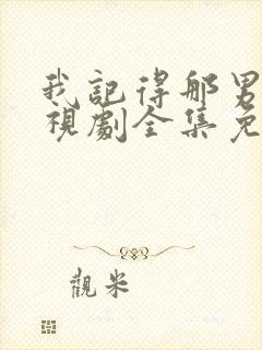 我记得那男孩电视剧全集免费观看封面