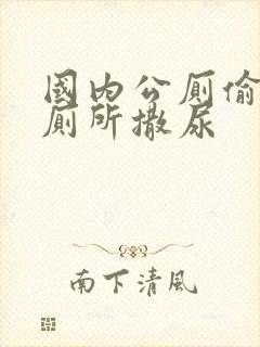 国内公厕偷拍女厕所撒尿