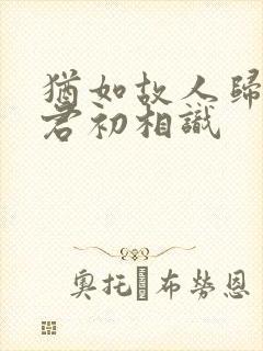 犹如故人归,与君初相识