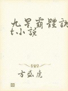 九星霸体诀txt小说