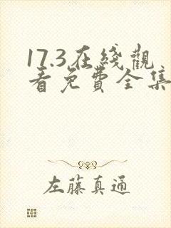 17.3在线观看免费全集电影