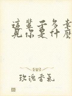 这辈子多幸运遇见你是什么歌