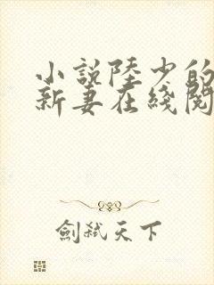 小说陆少的暖婚新妻在线阅读