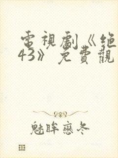 电视剧《绝密543》免费观看全集