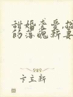 甜婚袭爱,总裁的落魄新妻