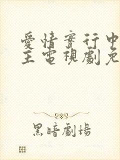 爱情实行中双男主电视剧免费观看