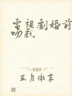 电视剧婚前试爱吻戏