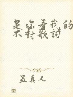 是你看我的方式不对歌词封面