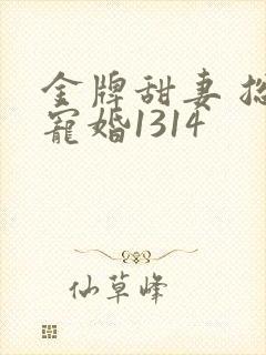 金牌甜妻 总裁宠婚1314