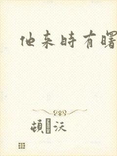 他来时有曙光封面