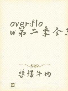 overflow第二季全集免费观看樱花动漫